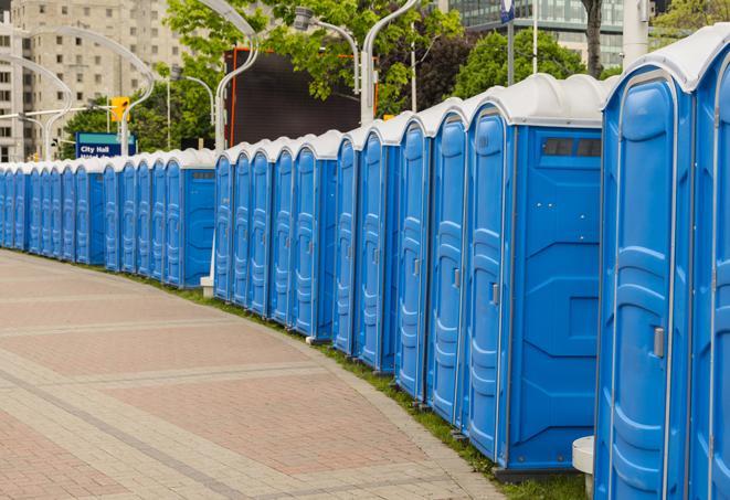 Seasonal porta potty units set up at a Grass Valley, California venue